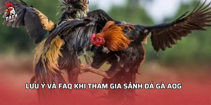 luu-y-va-faq-khi-tham-gia