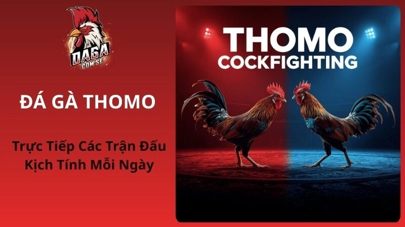 Đá Gà Thomo