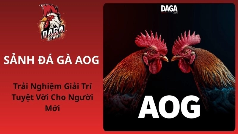 Sảnh Đá Gà AOG