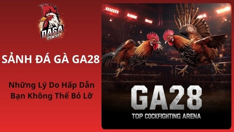 Sảnh Đá Gà GA28